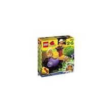 Lego Duplo 2825 Meadowsweets (Паучок) 2000