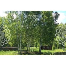 Новорязанское, 95 км от МКАД, Озеры г.о. Бояркино, Размер участка: 10 сот.