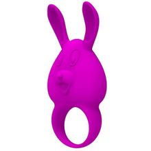 Baile Фиолетовое перезаряжаемое эрекционное кольцо с вибрацией (фиолетовый)