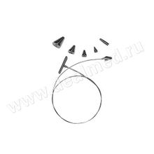 Веноэкстрактор малый, Ворсма, Россия