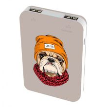 Зарядное устройство RITMIX RPB-10007 Bulldog, 10000 мА ч Li-pol, 2.1A 2xUSB