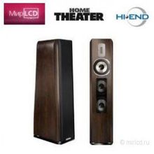 Quadral Aurum Orkan VIII Oak Choco real wood veneer