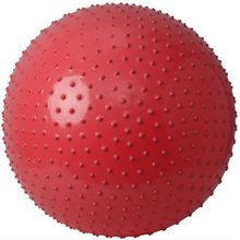 Мяч гимнастический массажный Hawk HKGB801 65см (насос)