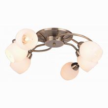 Arte Lamp Silvana A4033PL-6AB