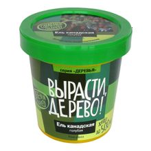 Набор для выращивания ВЫРАСТИ ДЕРЕВО! Ель канадская голубая