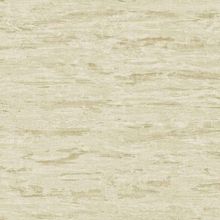 78034 Обои Zambaiti (Elite) (1*4) 10,05x1,06 винил на флизелине