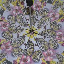 Ame Yoke Зонт женский  Бабочки