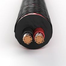 Акустический кабель Dali SC RM230ST    2 x 3 м