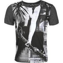 Футболка муж. Tom Tailor 1029268, цвет серый, S