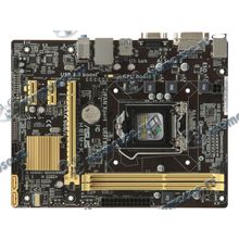 Мат. плата Socket1150 ASUS "H81M-K" (iH81, 2xDDR3, SATA III, SATA II, PCI-E, D-Sub, DVI, 1Гбит LAN, USB3.0, mATX) (ret) [120115]