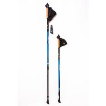 Скандинавские палки 60% Carbon Finpole Alpina