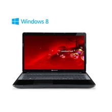 Ноутбук Packard Bell EasyNote LV11-HC-53236G75Mnks (NX.C26ER.003)