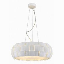 Divinare Beata 1317 21 SP-8