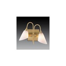 Odeon Light 1373 2W HEDYS ODL08 245 хром G9 2x40W