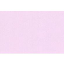 MaxWall 168001-19