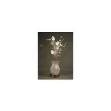 Светильники CITILUX :Новые поступления:Коллекция Ваза:Светильник декоративный Citilux ваза (торшер) CL299871, алюминий