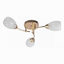 TopLight Lucy TL7120X-03FG