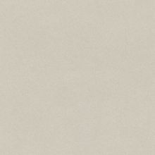 Обои виниловые Rasch Passepartout 607248