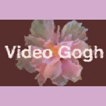 RE:Vision Effects RE:Vision Effects Video Gogh