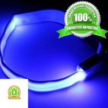 Светящийся ошейник - 45-50 см - голубой