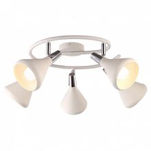 Arte Lamp Спот Arte Lamp Ciclone A9155PL-5WH ID - 414498