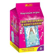 Научная игра Твоя фоторамка в кристаллах