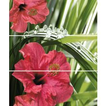 Керамическая плитка Cerrol Imperia Hibiskus (из 3шт) панно 50х60