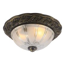 Потолочный светильник Arte Lamp A8003PL-2AB PIATTI