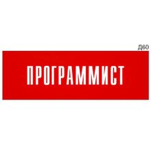 Информационная табличка «Программист» на дверь прямоугольная Д60 (300х100 мм)