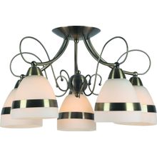 Потолочный светильник Arte Lamp A6192PL-5AB NOEMI