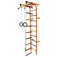 ДСК"Формула здоровья""Забияка-1А Плюс" оранжевый радуга