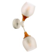 Evoluce Бра Evoluce Ciotolla SLE113501-02 ID - 247505