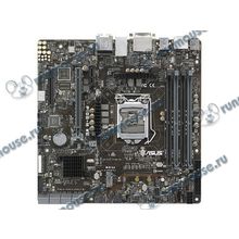 Серв. мат. плата Socket1151 ASUS "P10S-M WS" (iC236, 4xDDR4, M.2, SATA III, RAID, 1xPCI-E x16 + 1xPCI-E x8 + 1xPCI-E x1, DVI, DP, HDMI, 2x1Гбит LAN, USB3.0, mATX) (ret) [133758]