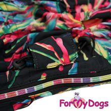 Дождевик для средних собак ForMyDogs черный для девочек 308 1SS-2018 F