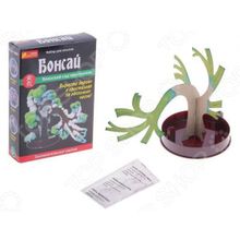 Ранок «Японский сад кристаллов. Бонсай»