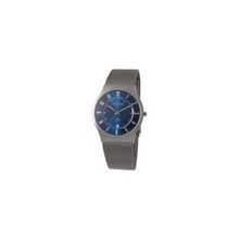 Мужские наручные часы Skagen Titanium 233XLTTN