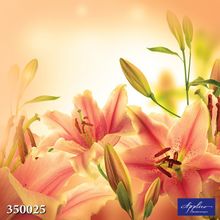 Фреска Applico 350025