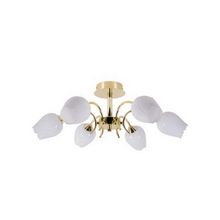 ARTELAMP A8292PL-6PB