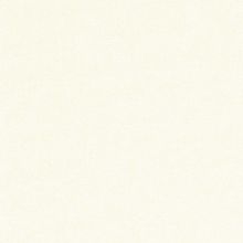 BN 220160 Обои BN (Timeless Stories Panthera) (1*12) 10,05x0,53 винил на флизелине