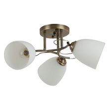 Rivoli Потолочная люстра Rivoli Carlo Б0044452 ID - 464729