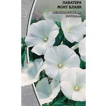 Лаватера  Монт Бланк  0,5 гр