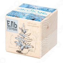 Экокуб «Голубая ель»