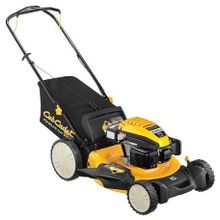 CUB CADET LM1 DP53