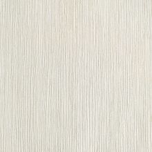 BN International Absolute 82124 BN82124