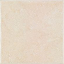 Arcana Ceramica Alsacia Crema 20x20 см