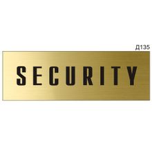 Информационная табличка «Security» на дверь прямоугольная Д135 (300х100 мм)