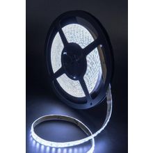 SWG Светодиодная лента SWG 9,6W m 120LED m 2835SMD холодный белый 5M 007263 ID - 483863