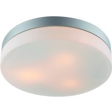 Потолочный светильник Arte Lamp A3211PL-3SI AQUA