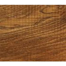 Дуб Лимбург