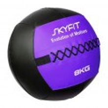 SKYFIT Wall Ball 8кг